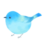 Rinアイコン画像