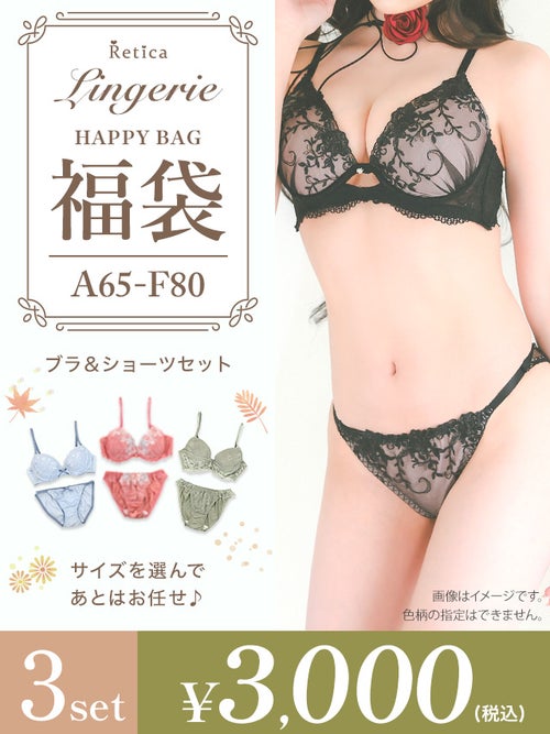 [福袋] ランジェリー3点セット (ブラジャー&ショーツセット3点)