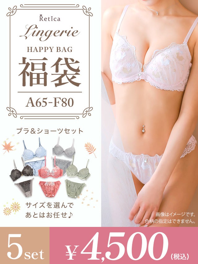[福袋] ランジェリー5点セット (ブラジャー&ショーツセット5点)