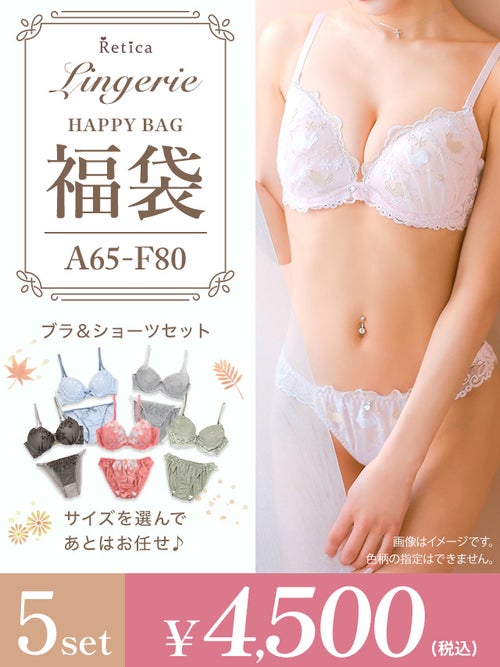 [福袋] ランジェリー5点セット (ブラジャー&ショーツセット5点)